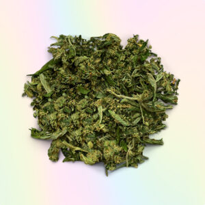 BUY SKYWALKER SHAKE ONLINE (HYBRID)