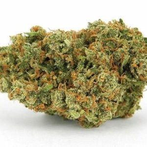 Buy Jack Herer Strain Online US